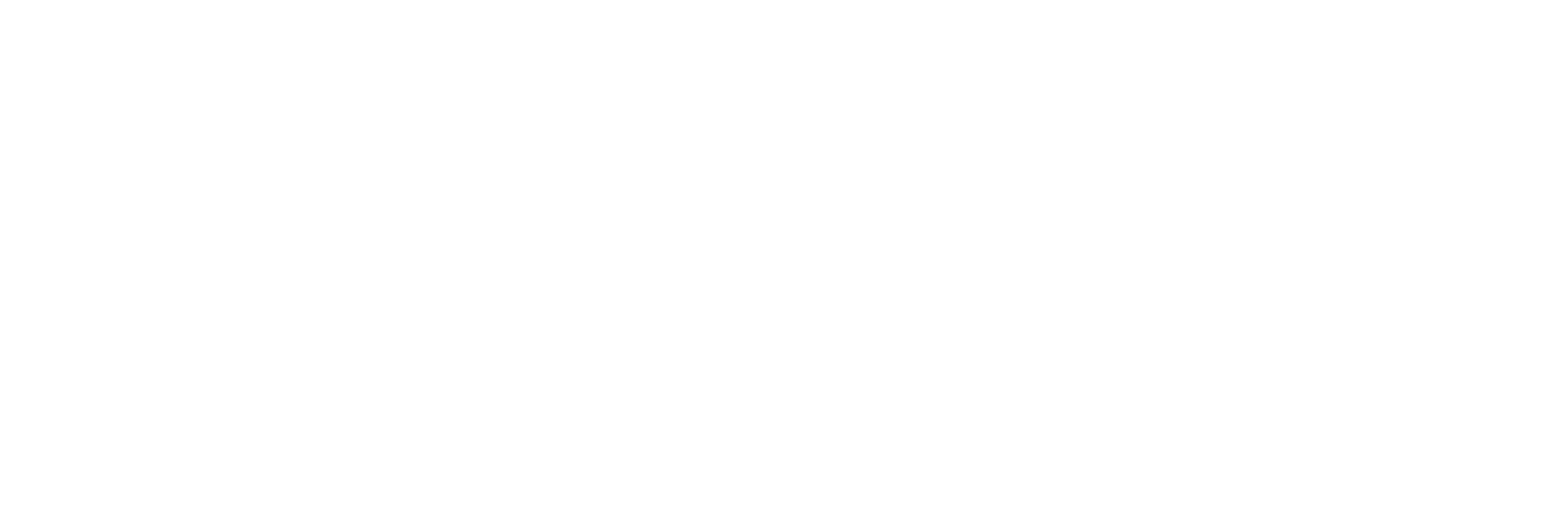 Auto Solution, servis i chip tuning